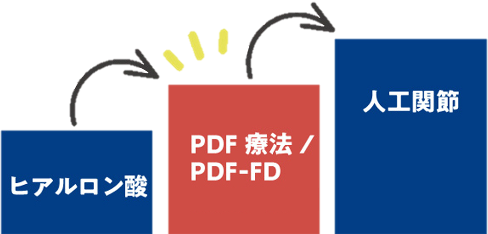 pdf-fd治療